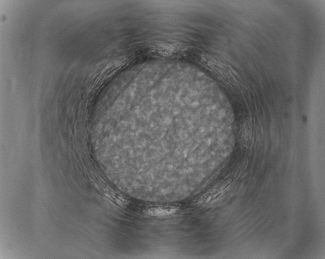 X0000087061105200705091153