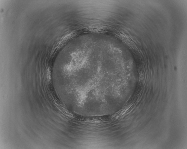 X0000087061106200705091153