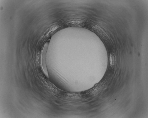 X0000087061107200705091153