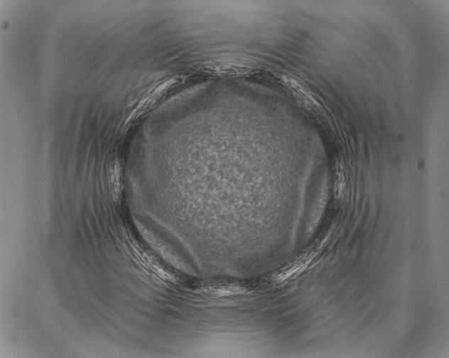 X0000087061108200705091153