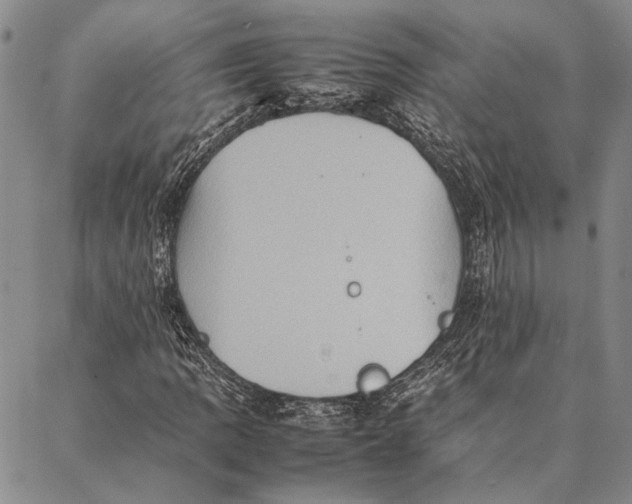 X0000087061109200705091153