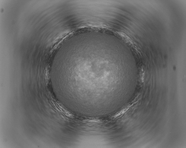 X0000087061110200705091153