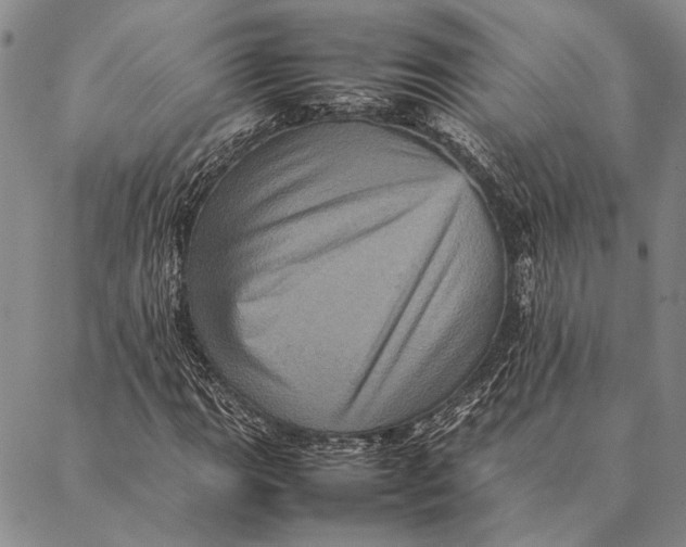 X0000087061111200705091153