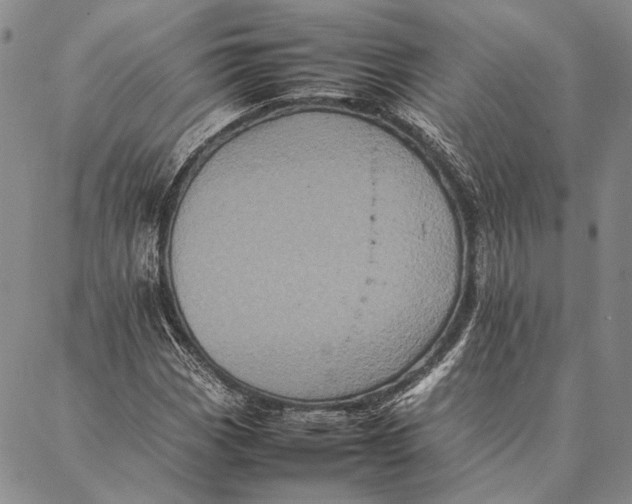 X0000087061113200705091153