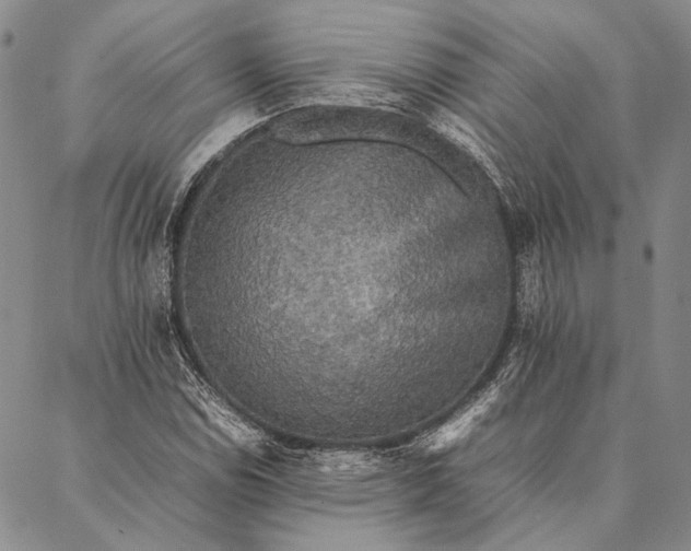 X0000087061114200705091153