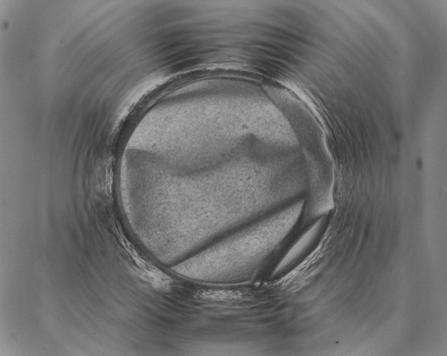 X0000087061115200705091153