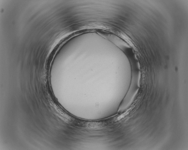 X0000087061116200705091154