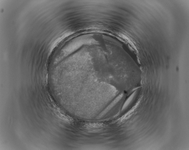 X0000087061117200705091154