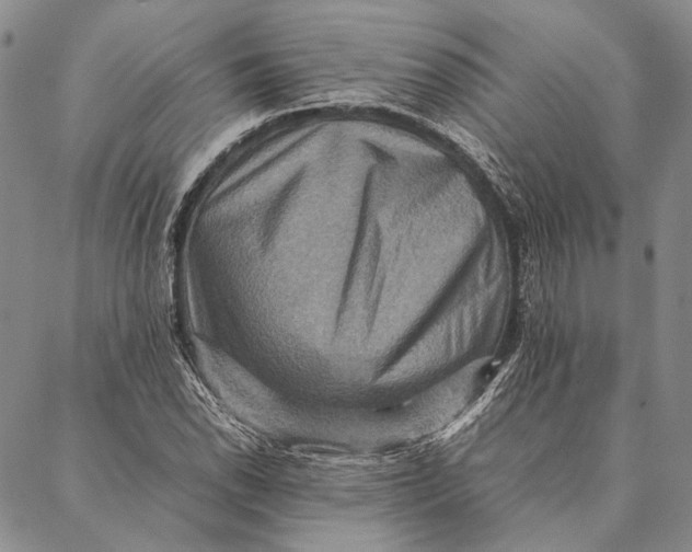 X0000087061118200705091154