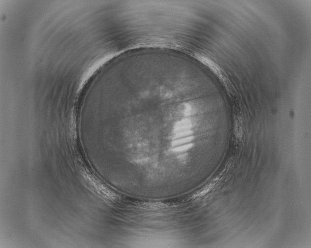 X0000087061120200705091154