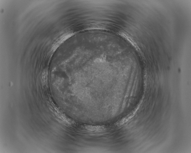 X0000087061121200705091154