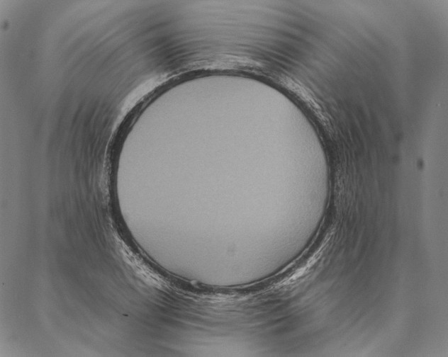 X0000087061122200705091154