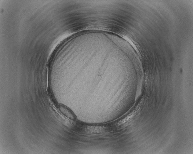 X0000087061123200705091154