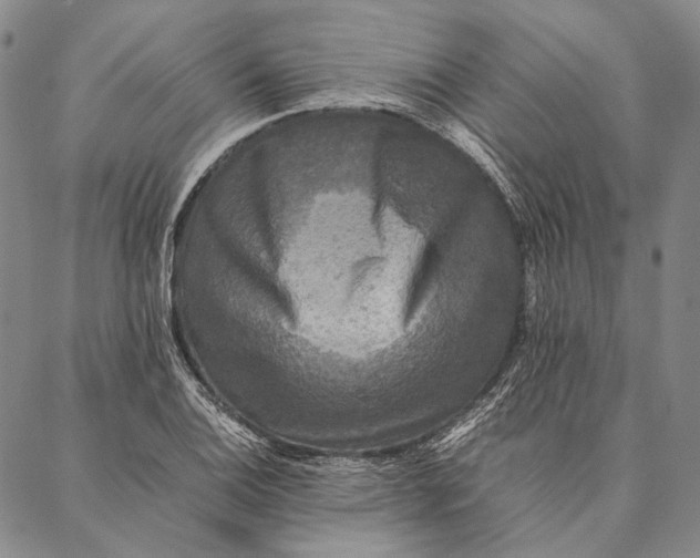 X0000087061124200705091154