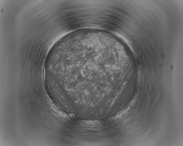 X0000087061125200705091154