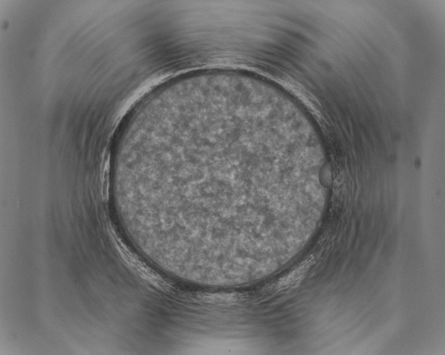 X0000087061126200705091154