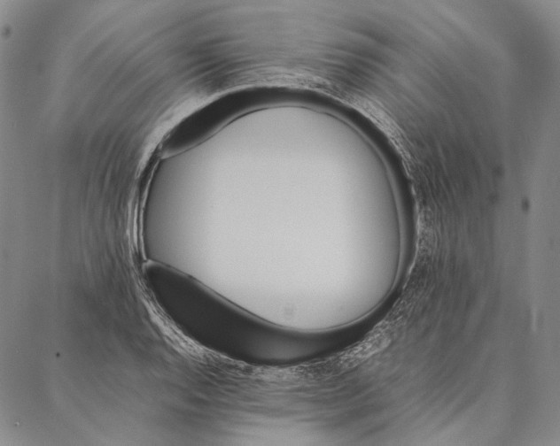 X0000087061128200705091154