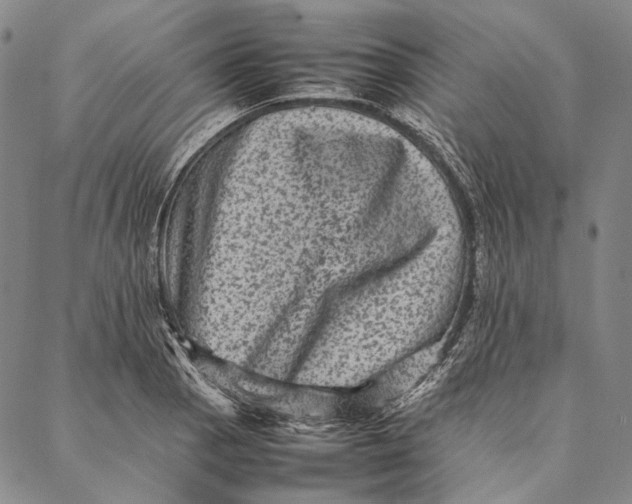 X0000087061129200705091154