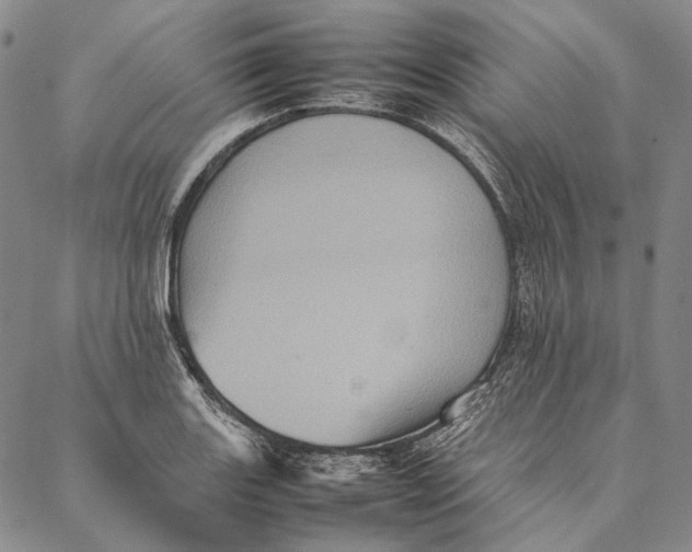 X0000087061131200705091154