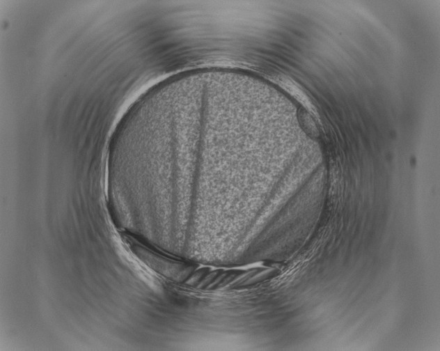 X0000087061132200705091154