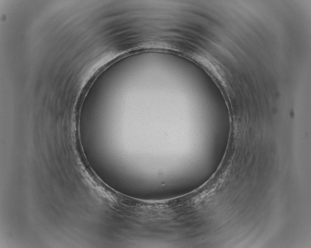 X0000087061133200705091154