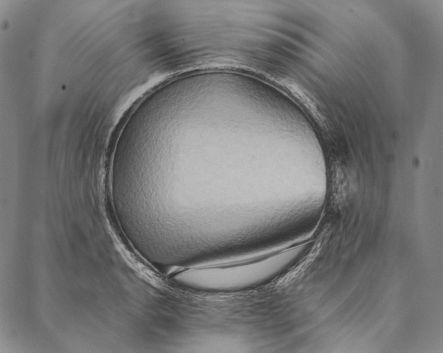 X0000087061134200705091154