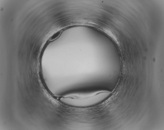 X0000087061136200705091154