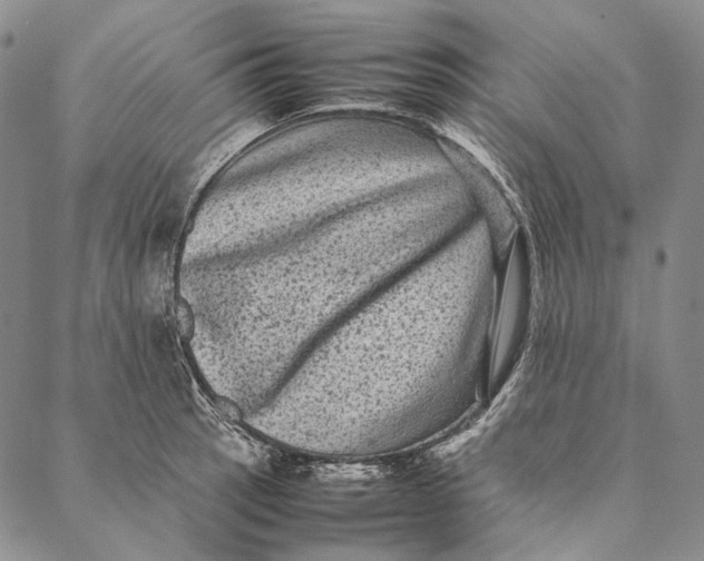 X0000087061137200705091154