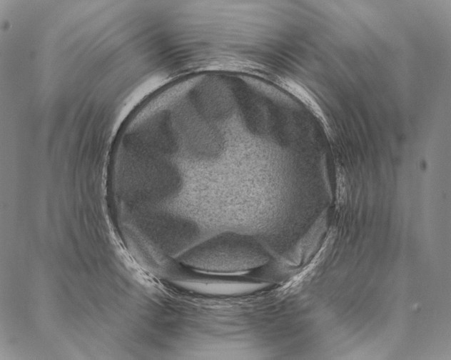 X0000087061138200705091154