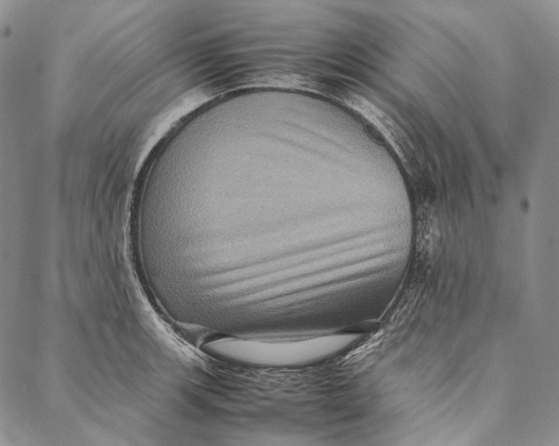 X0000087061139200705091154