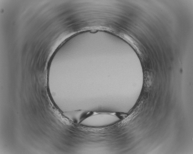 X0000087061140200705091154