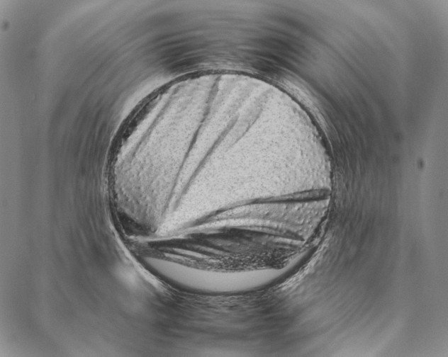 X0000087061141200705091154