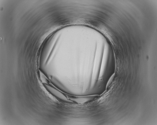 X0000087061142200705091154