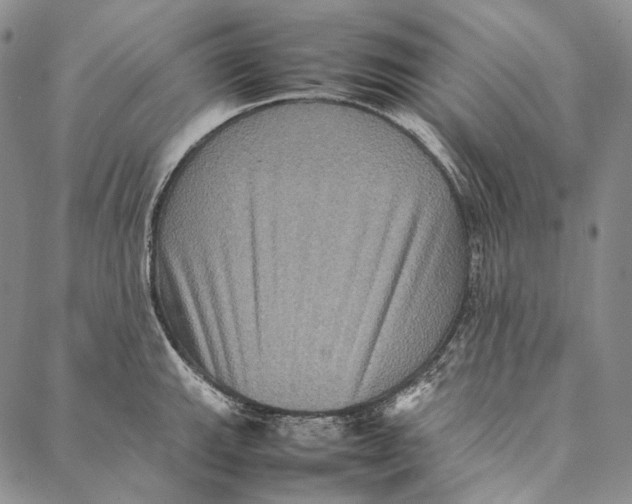 X0000087061143200705091154