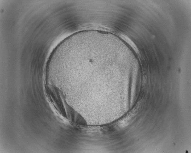 X0000087061144200705091154