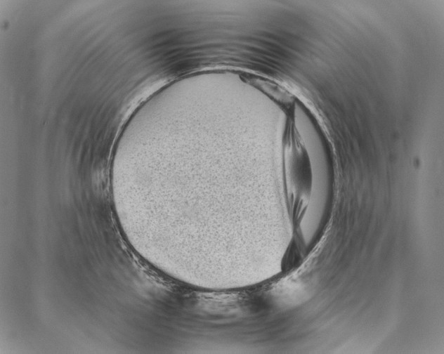 X0000087061145200705091154