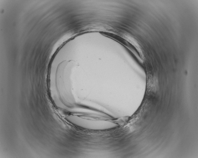 X0000087061146200705091154