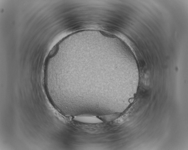 X0000087061147200705091154