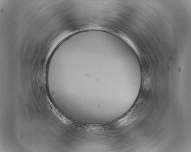 X0000087061148200705091154