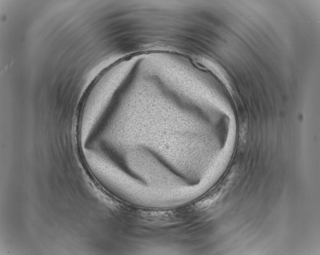 X0000087061149200705091154