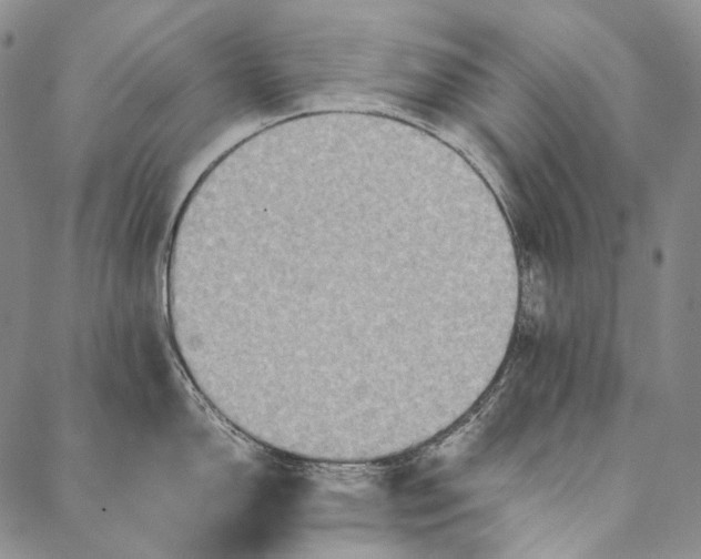 X0000087061150200705091154