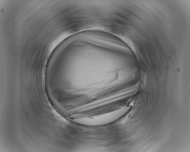 X0000087061151200705091154