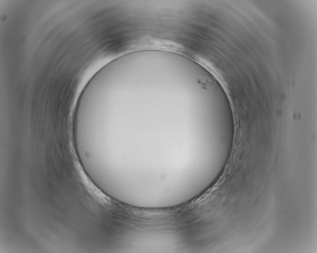 X0000087061152200705091154