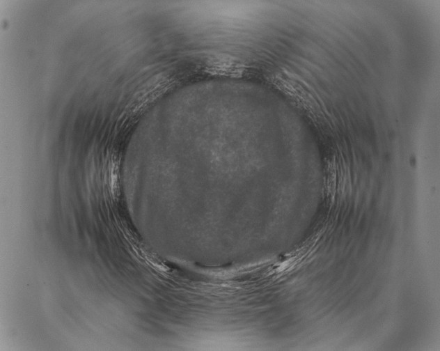 X0000087061154200705091153