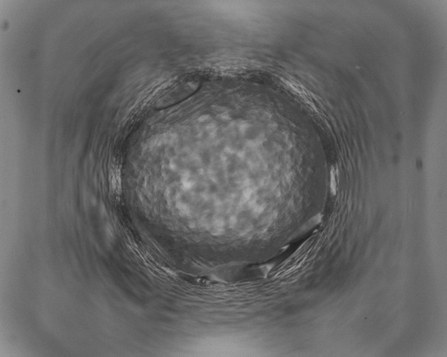 X0000087061155200705091153