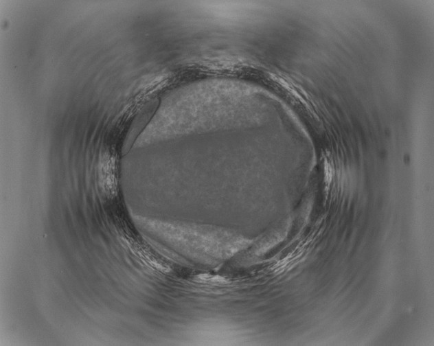 X0000087061156200705091153