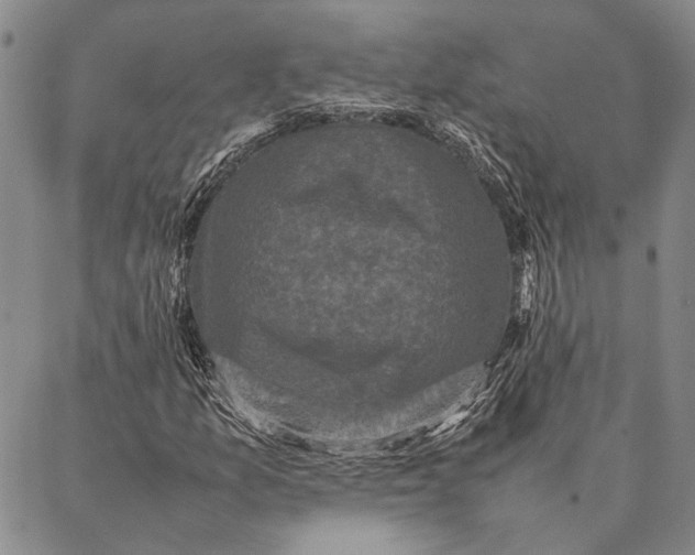 X0000087061157200705091153