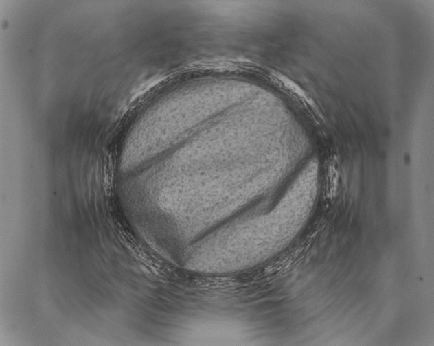 X0000087061158200705091153