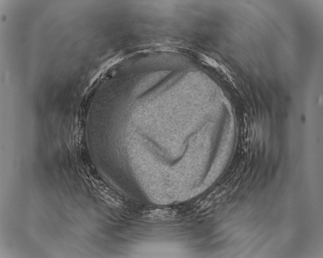 X0000087061160200705091153