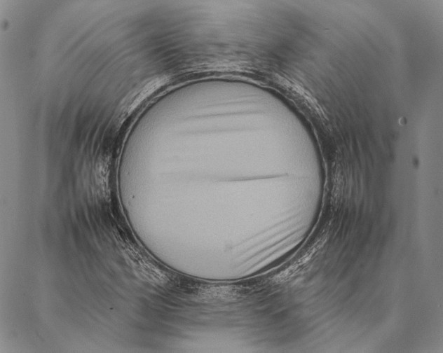 X0000087061162200705091153